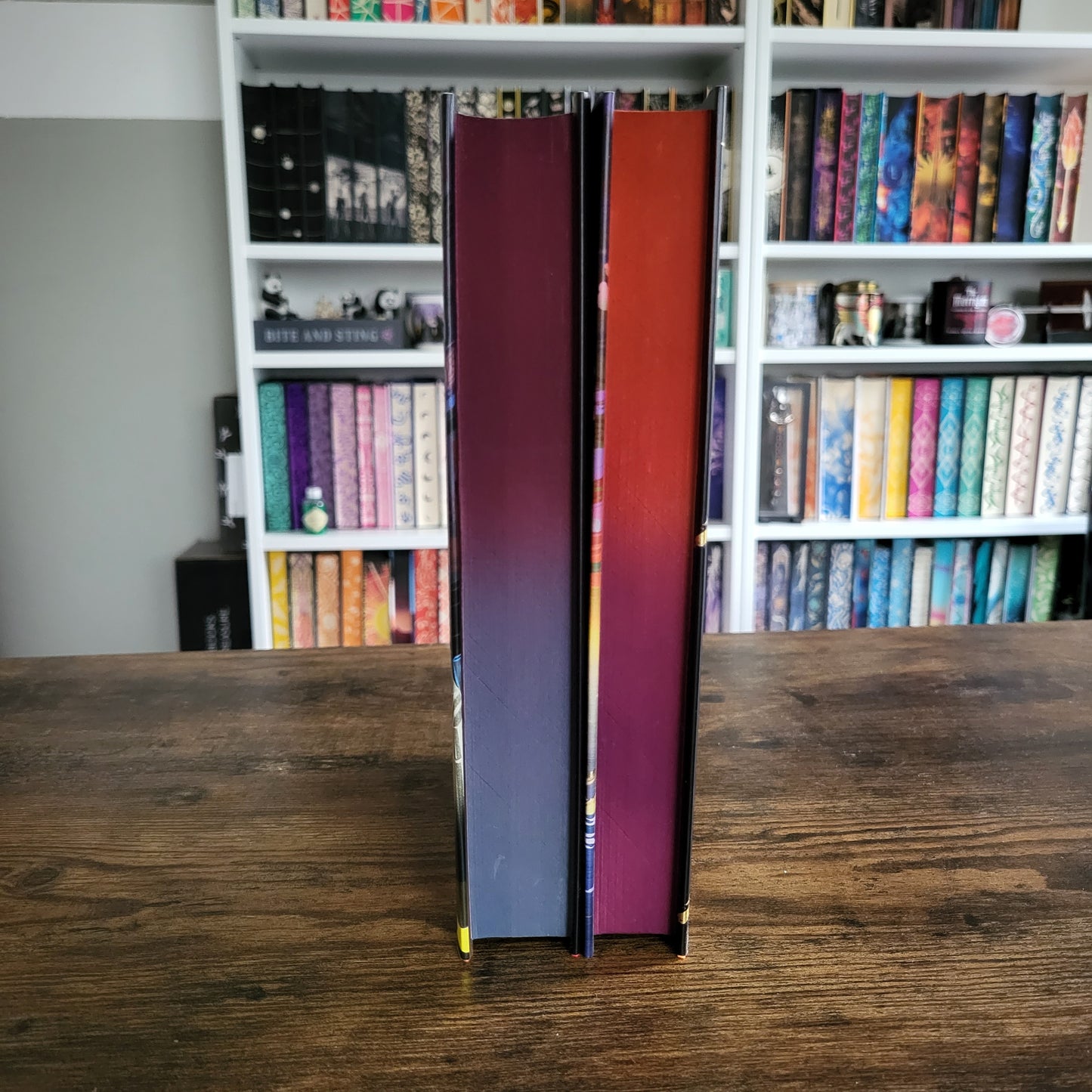 Illumicrate - Last Night at the Telegraph Club + A Scatter of Light