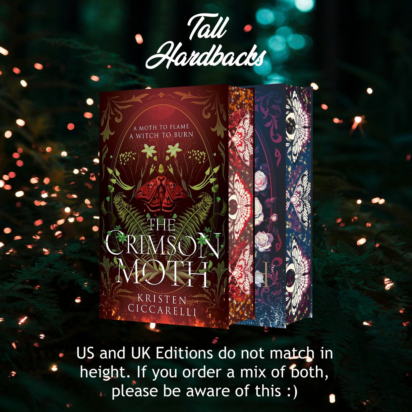 The Crimson Moth/ Heartless Hunter/ Rebel Witch