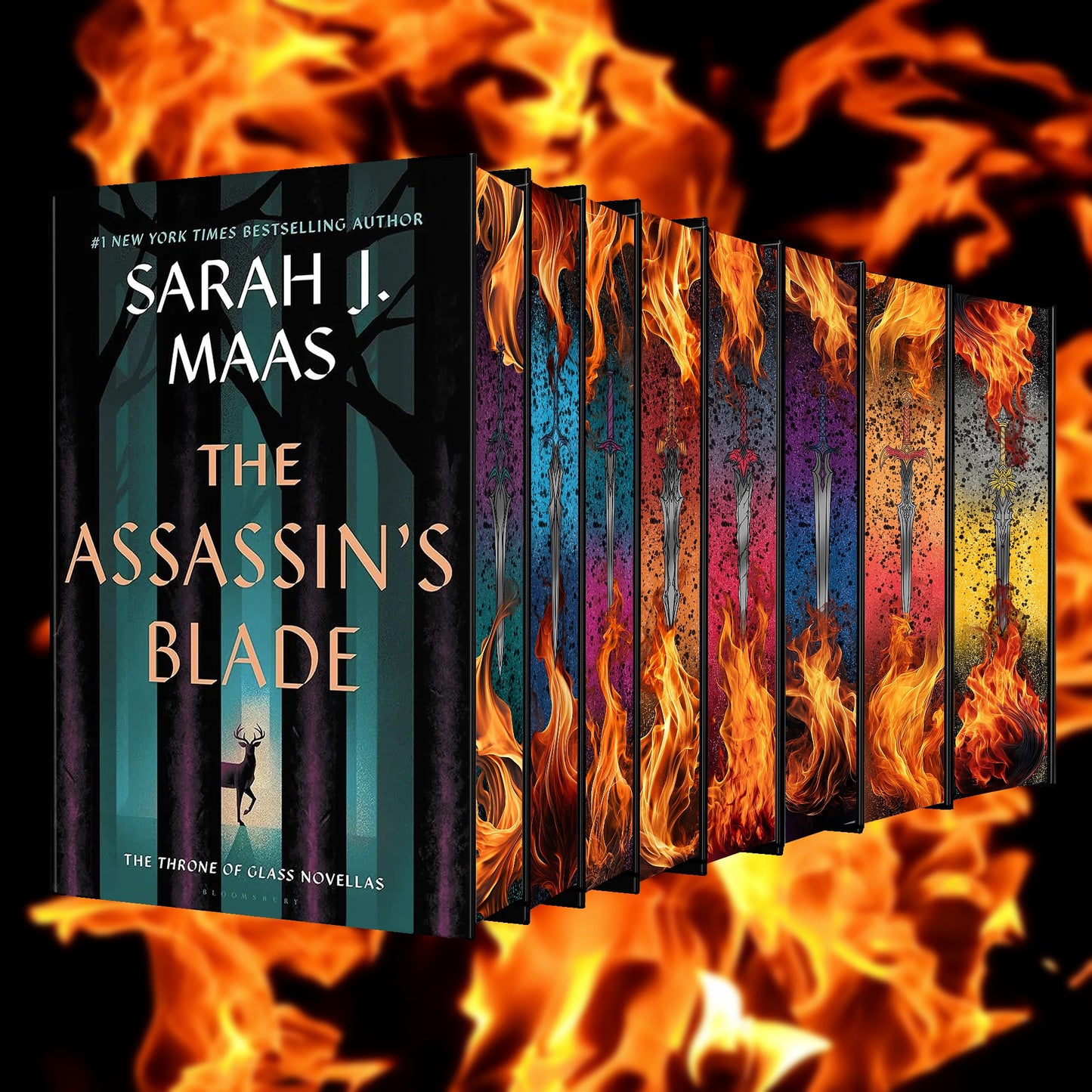 Throne of Glass Hardcovers/ Paperbacks