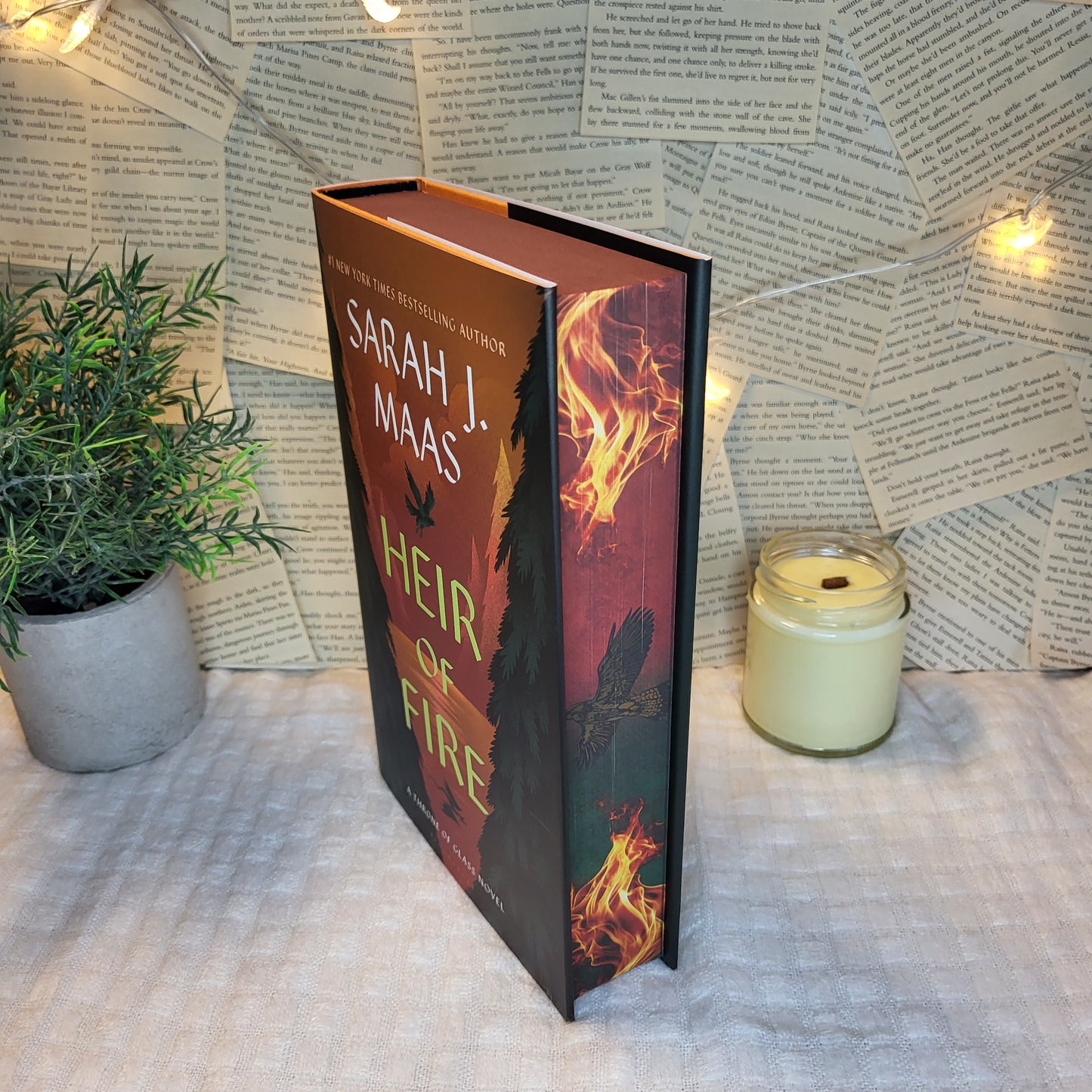 Throne of Glass Hardcovers/ Paperbacks