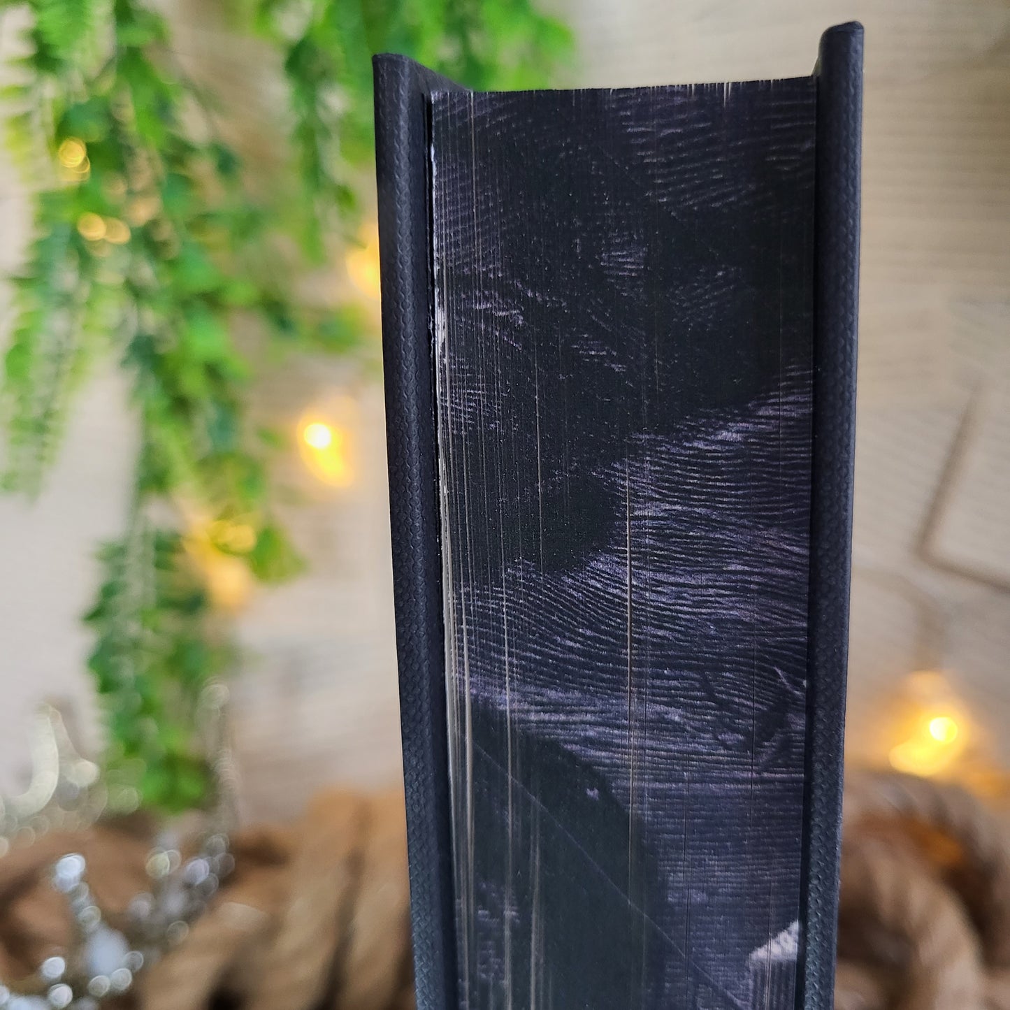 Fairyloot- DAMAGED - City of Fallen Angels