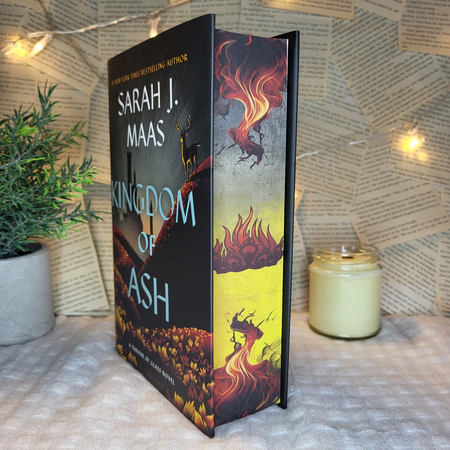Throne of Glass Hardcovers/ Paperbacks