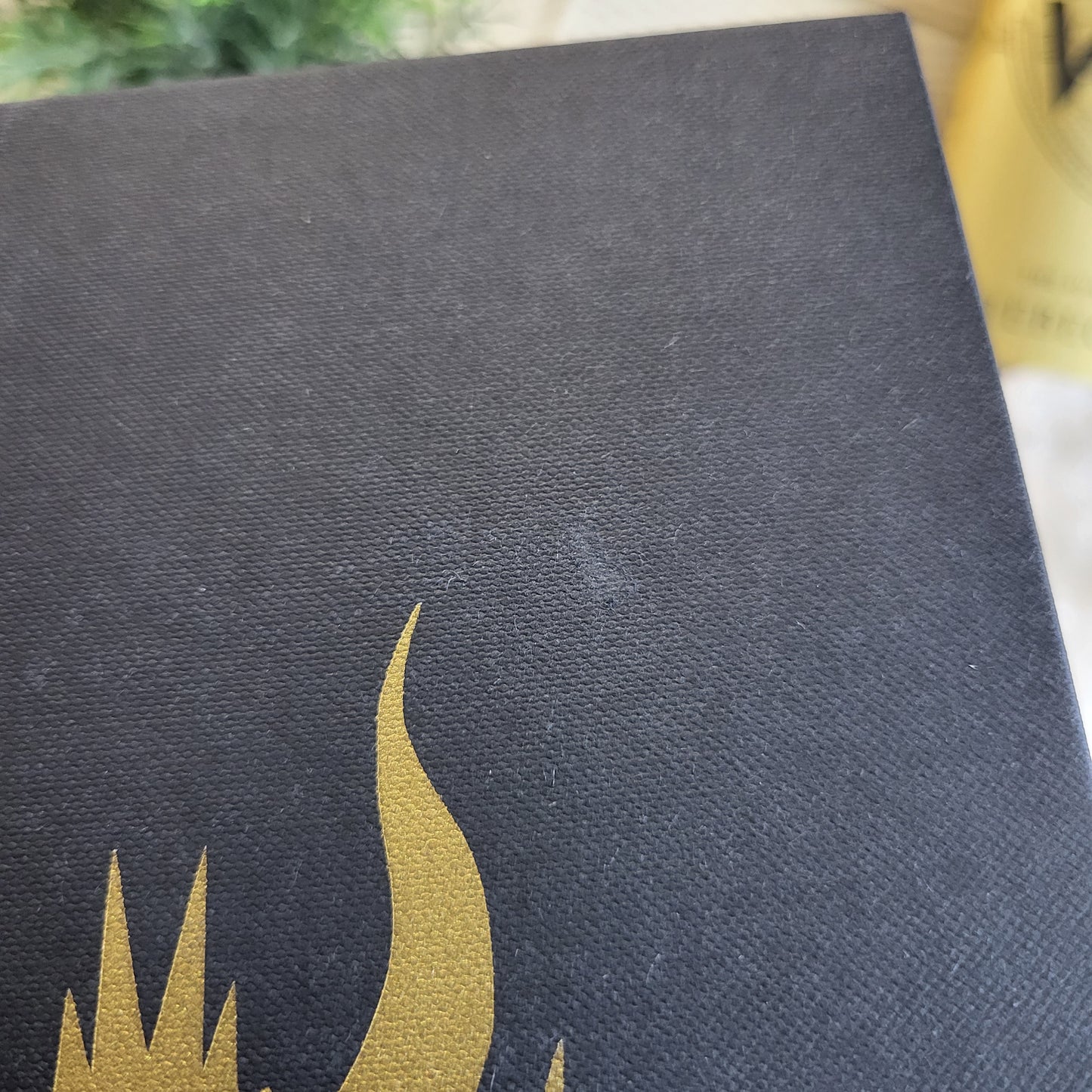 SECONDS #22 Fourth Wing