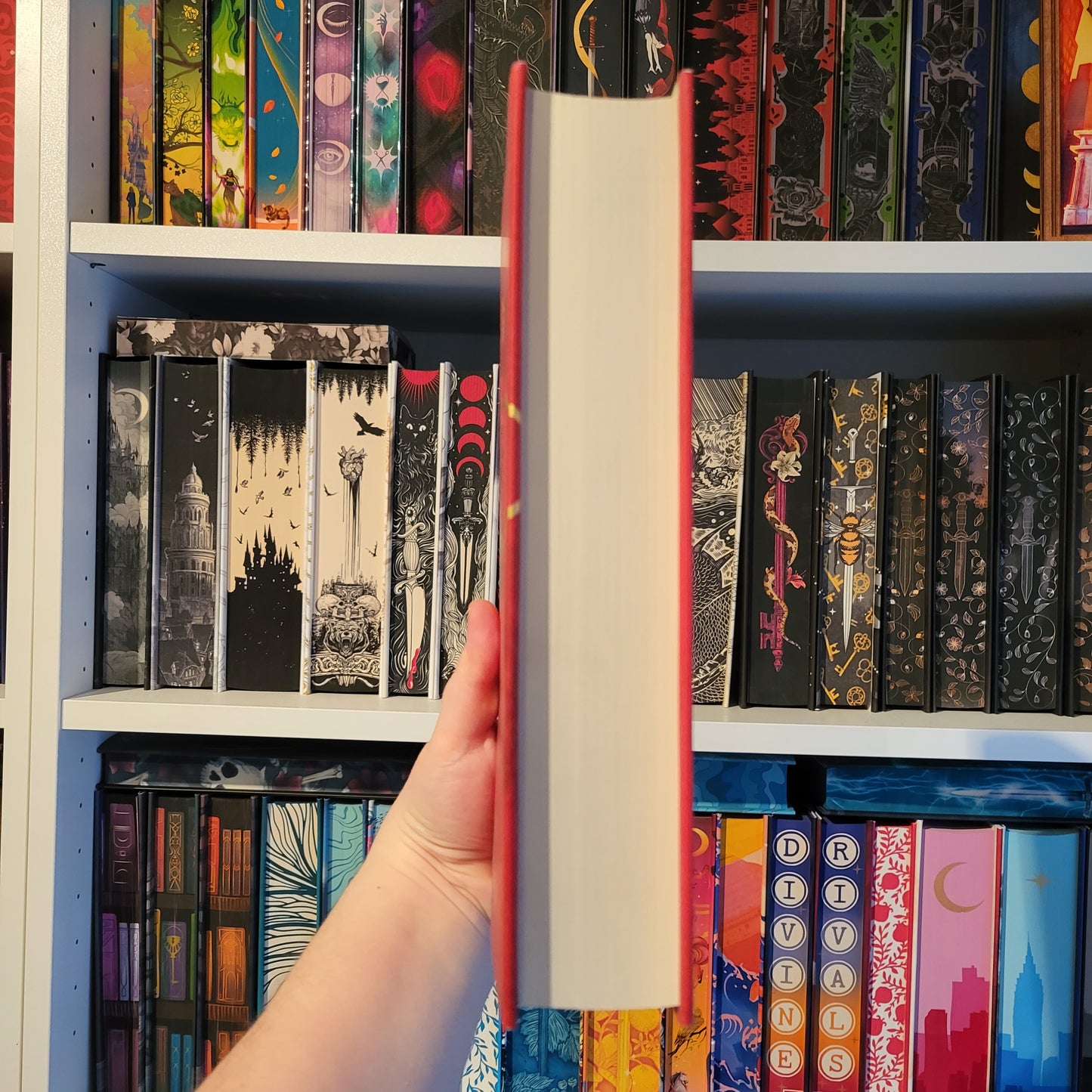 Out of Print - The Mime Order