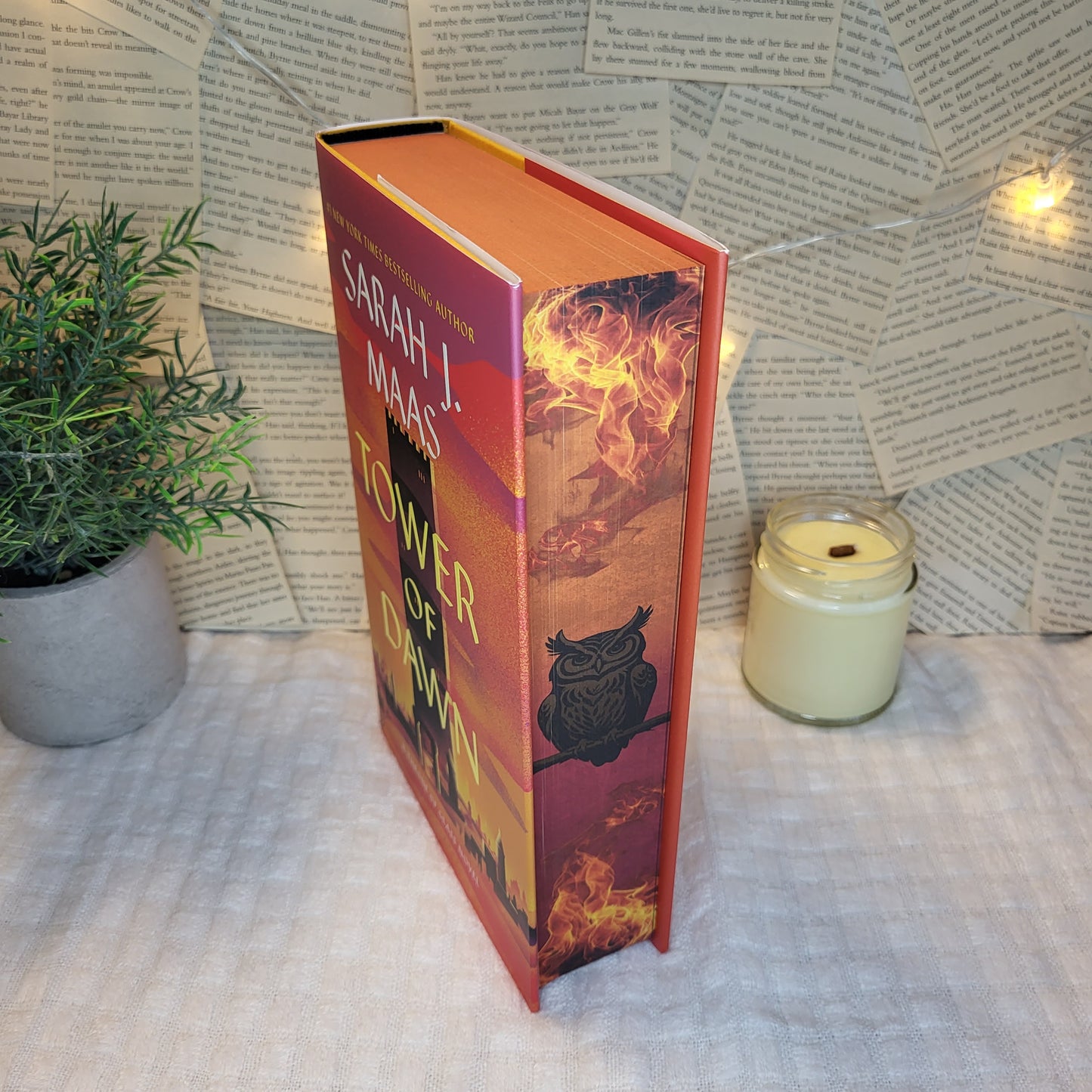 Throne of Glass Hardcovers/ Paperbacks