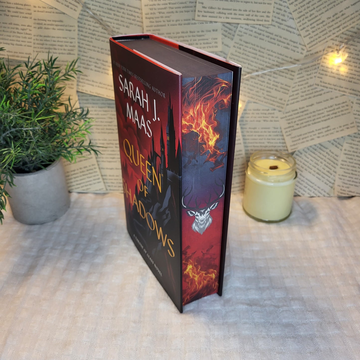 Throne of Glass Hardcovers/ Paperbacks