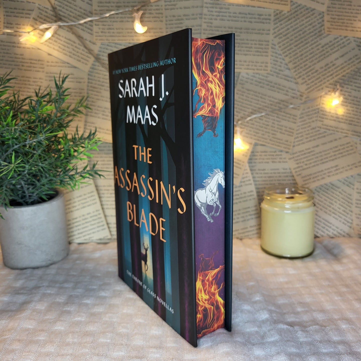 Throne of Glass Hardcovers/ Paperbacks