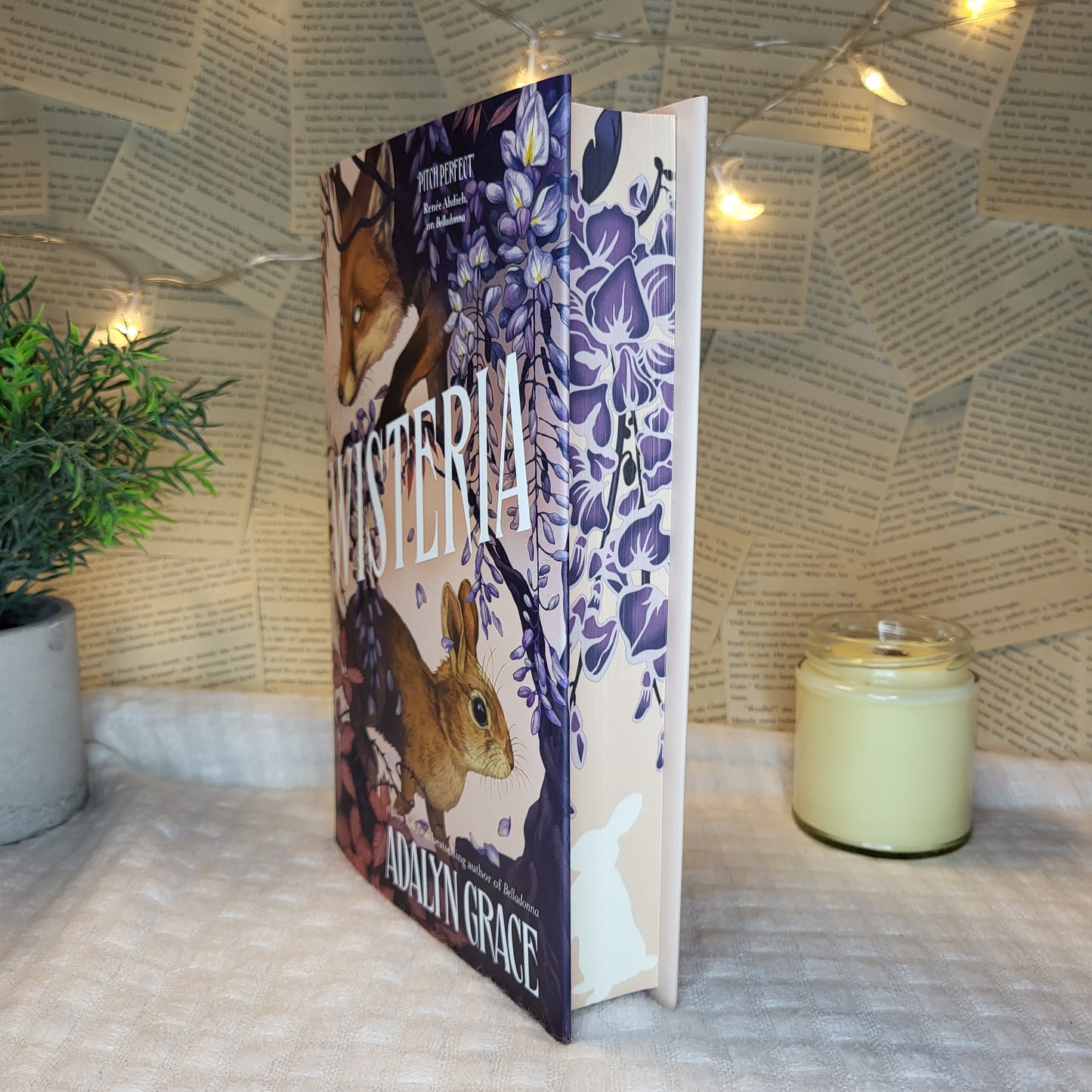 Belladonna/ Foxglove/ Wisteria/ Holly