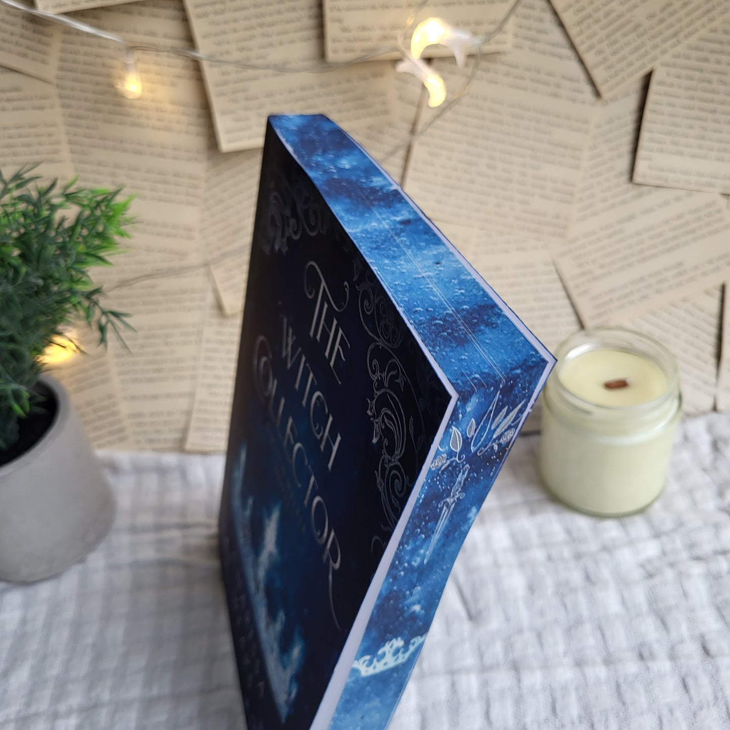 Witch Collector Set (Witch Walker Series)