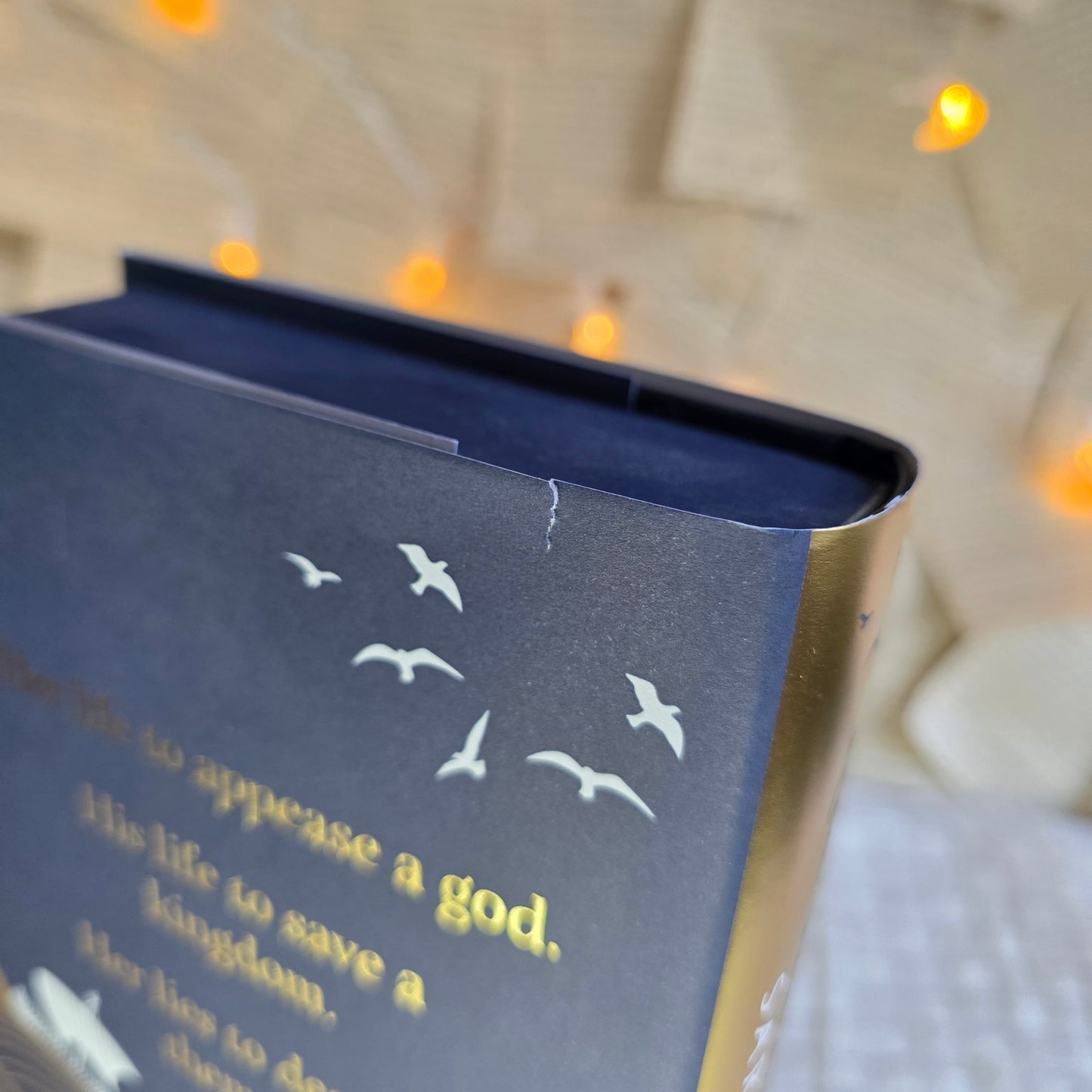 Illumicrate - DAMAGED - Lies We Sing to the Sea