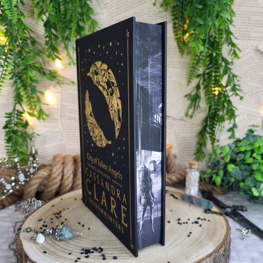 Fairyloot- DAMAGED - City of Fallen Angels