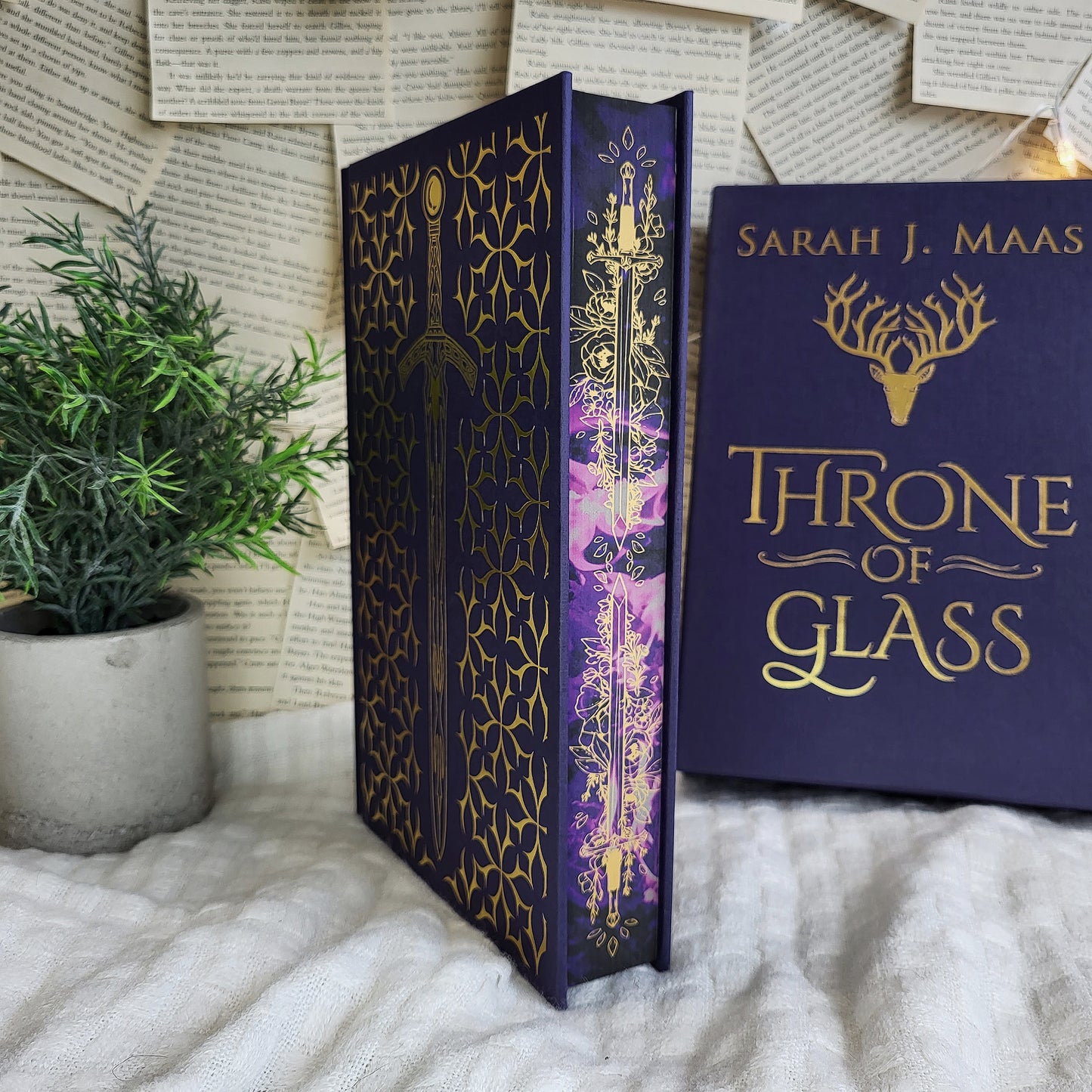 Collector's Editions: Throne of Glass (TOG) / A Court of Thorns and Roses (ACOTAR)