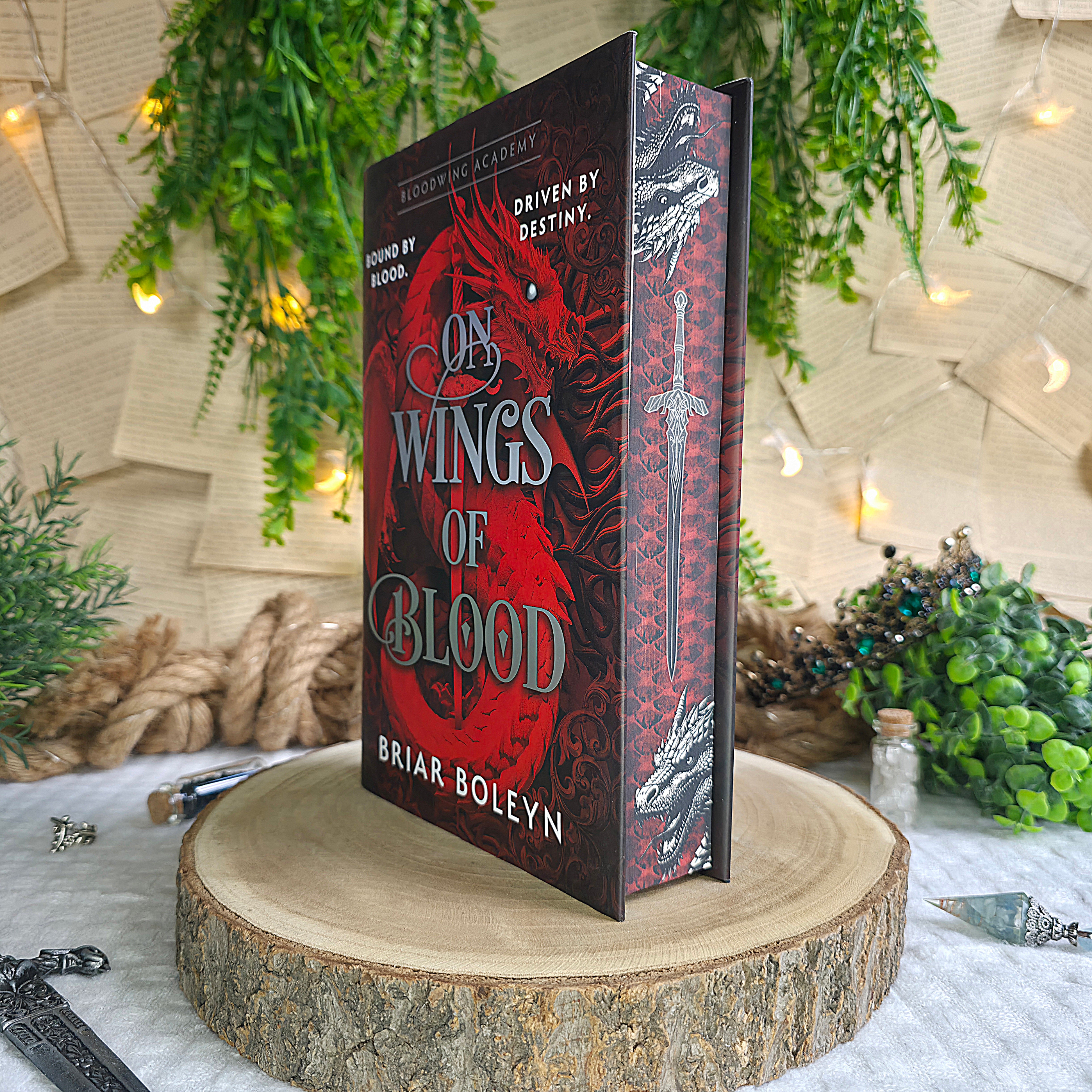 Bloodwing Academy – Kathy's Bookish Shop
