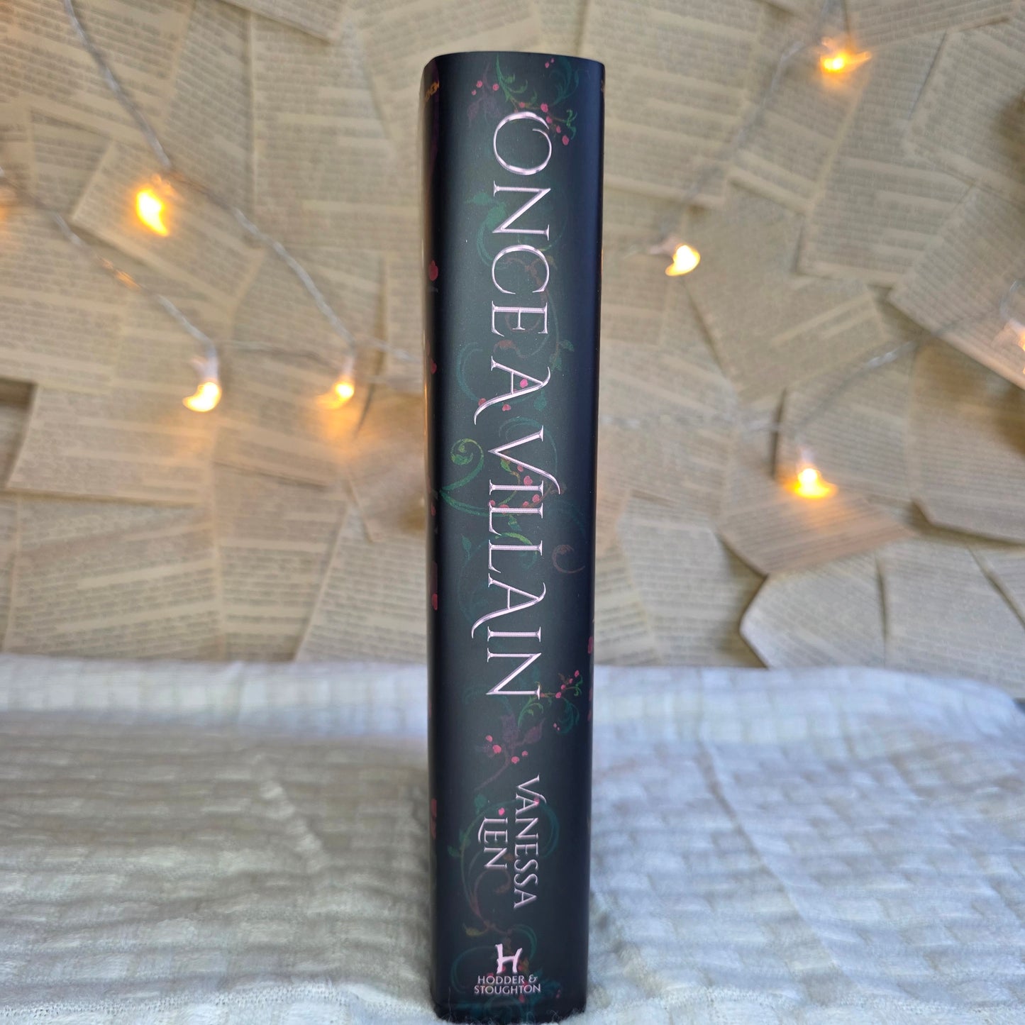 Fairyloot - DAMAGED - Once A Villain