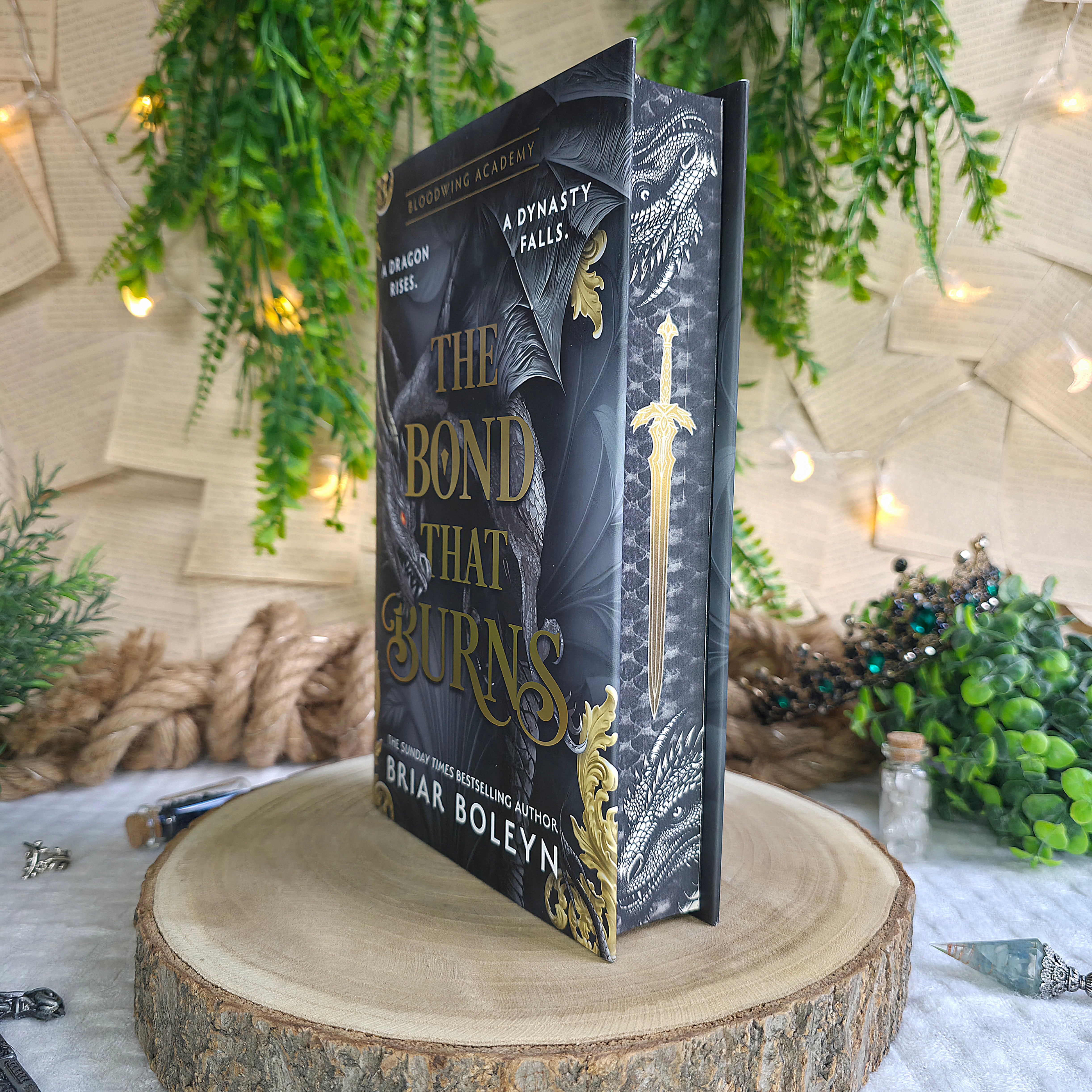 Bloodwing Academy – Kathy's Bookish Shop