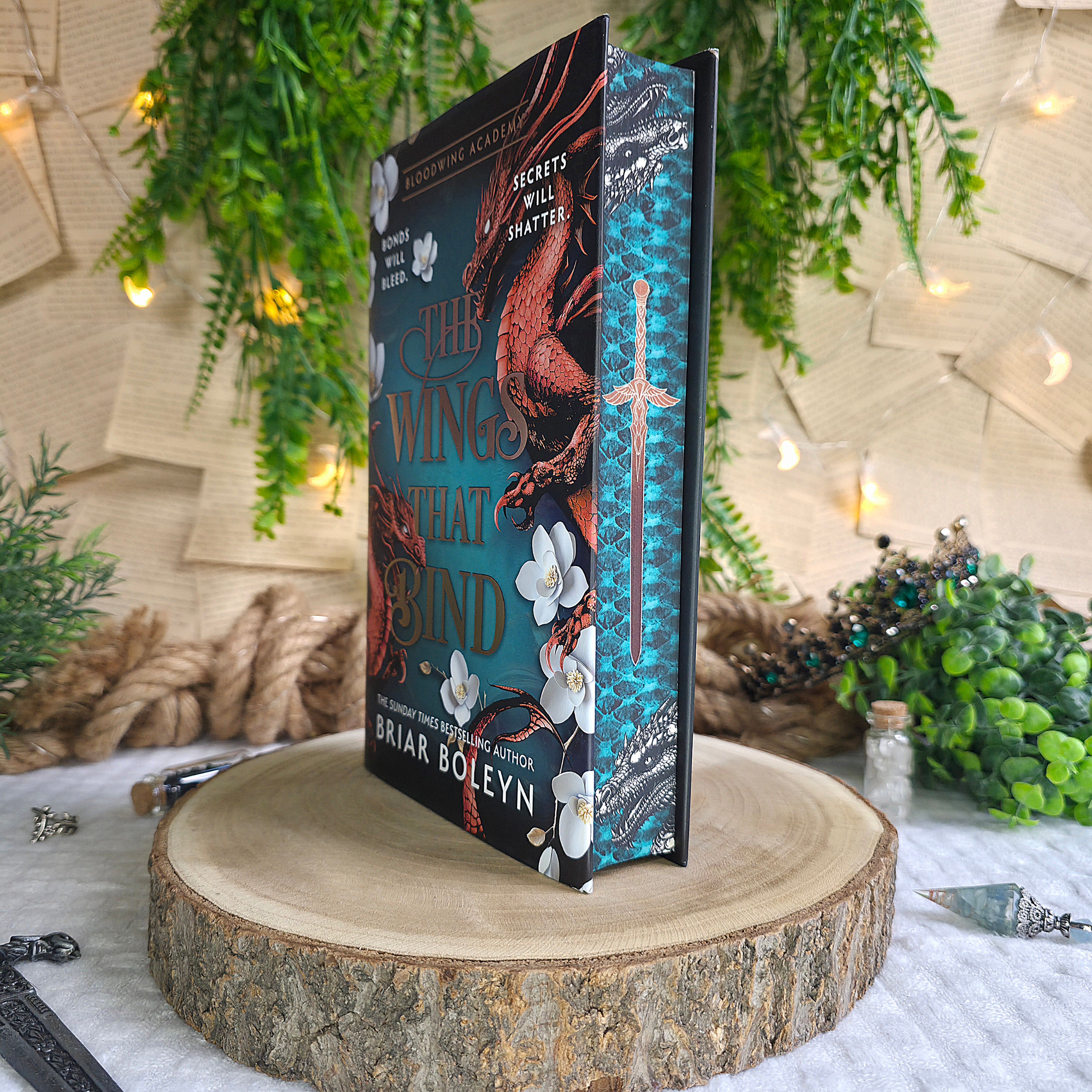 Bloodwing Academy – Kathy's Bookish Shop