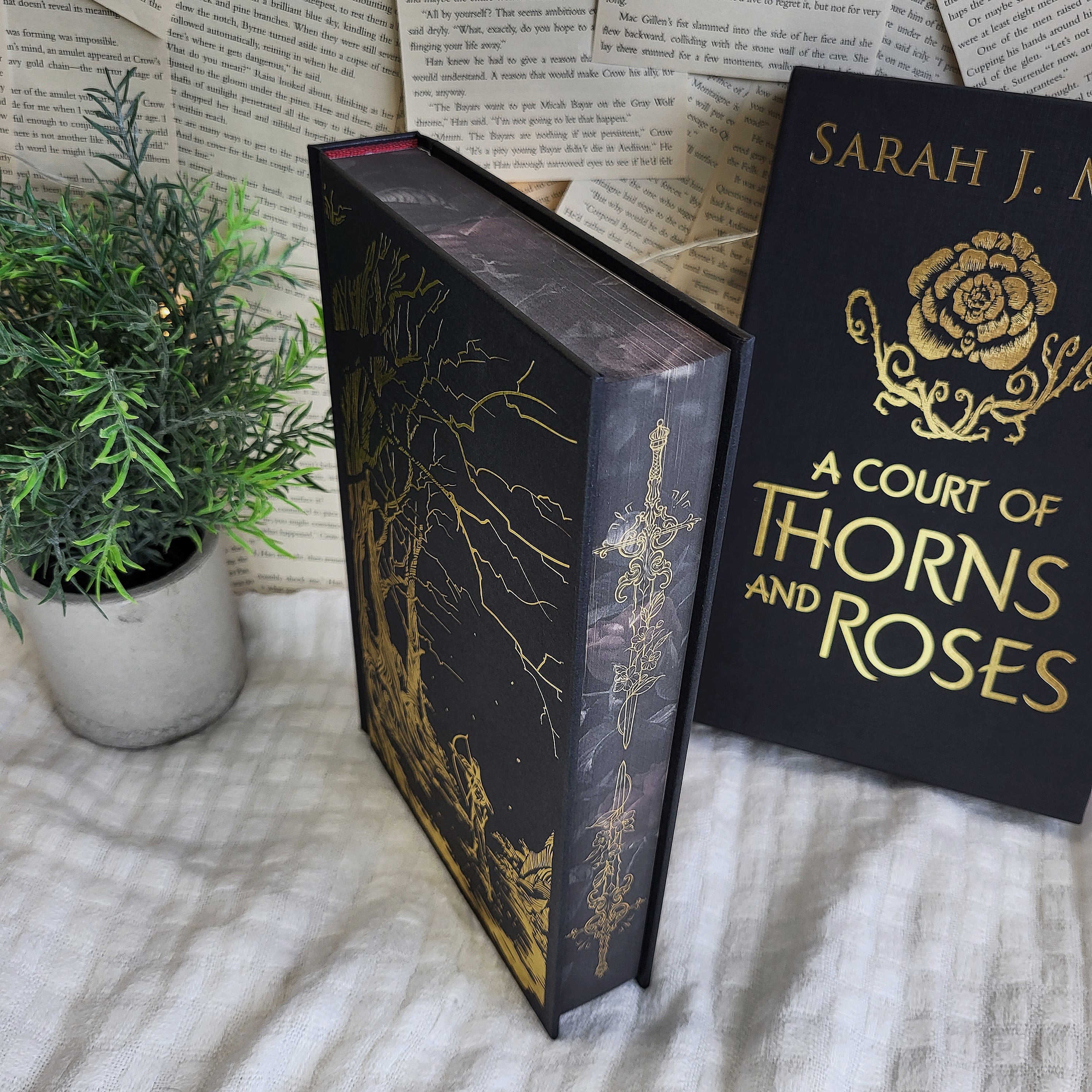 A court of high quality thorns and roses, collectors, edition brand, new factory sealed