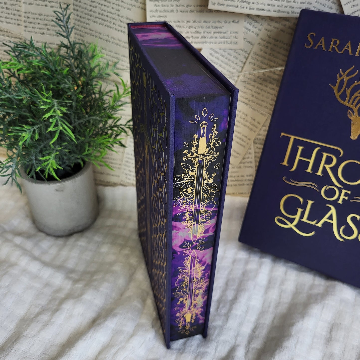 Collector's Editions: Throne of Glass (TOG) / A Court of Thorns and Roses (ACOTAR)