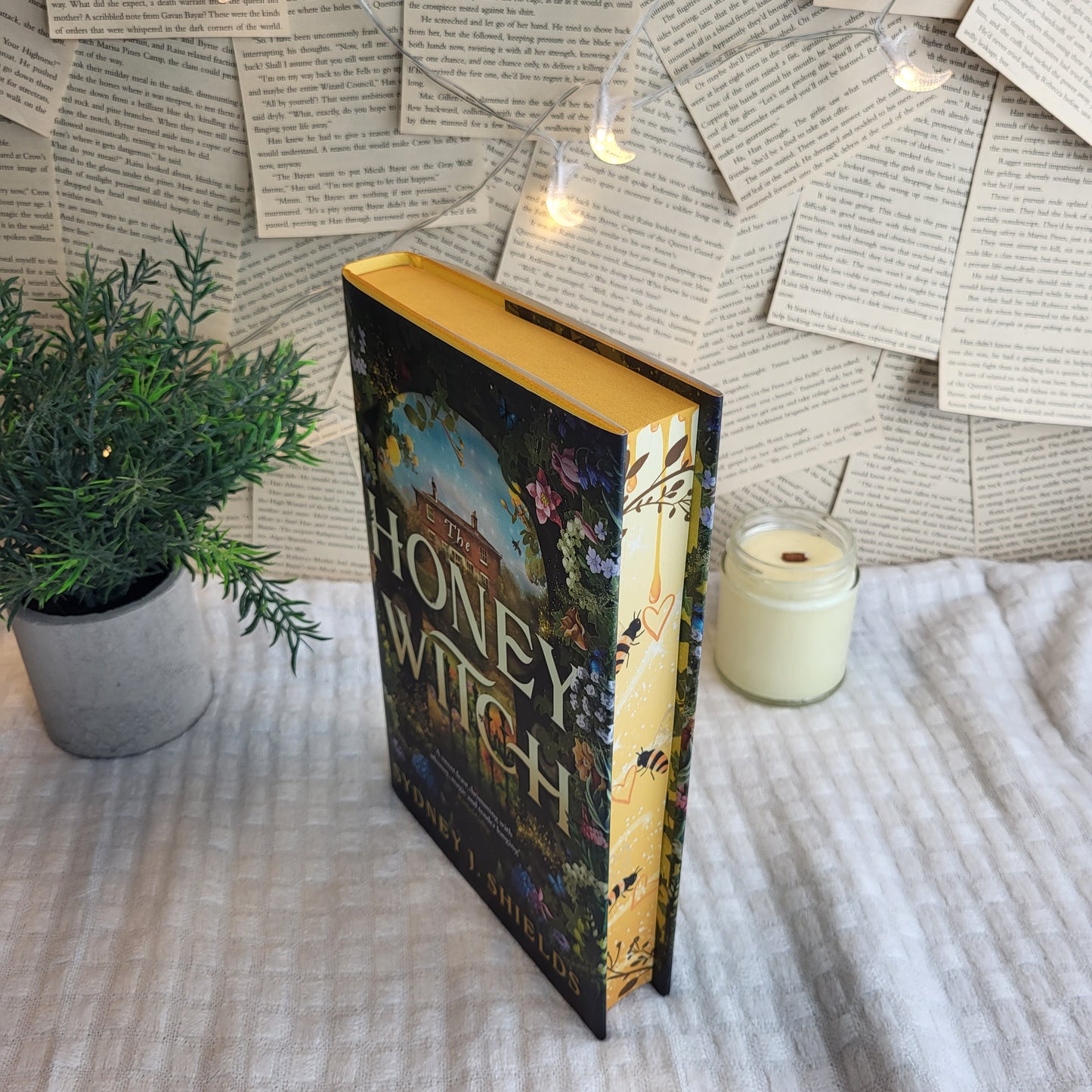 Cozy Fall Books: Hardcover Bundle (The Honey Witch + The Spellshop)